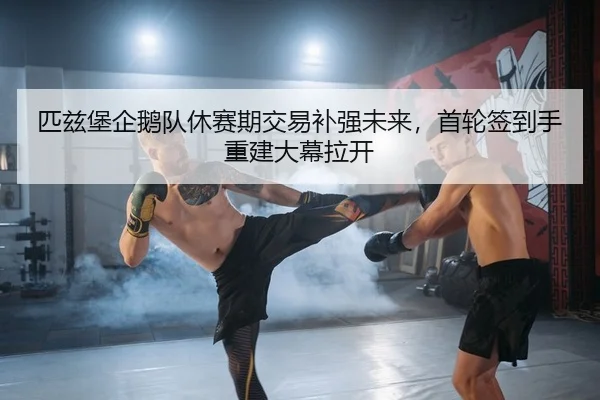 匹兹堡企鹅队休赛期交易补强未来，首轮签到手重建大幕拉开
